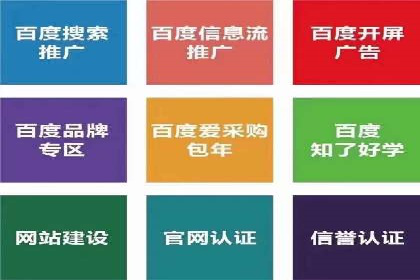 百度推广平台案例剖析：揭秘广告投放策略